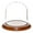 Walnut Veneer Base, variant on Plymor 4" x 4" Glass Display Dome Cloche (Walnut Veneer Base)
