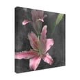 thumbnail image 2 of Trademark Fine Art 'Fleur de Lys I' Canvas Art by Alicia Ludwig, 2 of 3