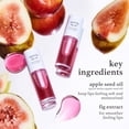 thumbnail image 4 of Aceite labial NOONI Korean Hydrating Applefig 3.5 ml de larga duración, 4 of 9