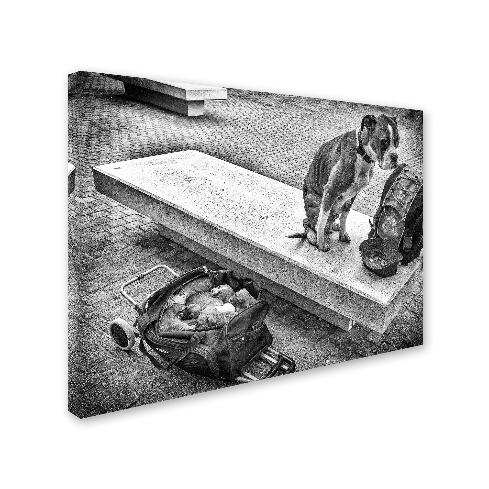 Trademark Fine Art 'Family Provider' Canvas Art by Adrian Popan