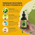 thumbnail image 6 of Go Nutrients Vitamin B12 Sublingual Liquid Drops Supplement with Raspberry, Vegan-Friendly - 2 oz, 6 of 8