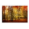 thumbnail image 2 of Trademark Fine Art Philippe Sainte-Laudy Brilliant Fall Color Canvas Wall Art - 22x32, 2 of 4