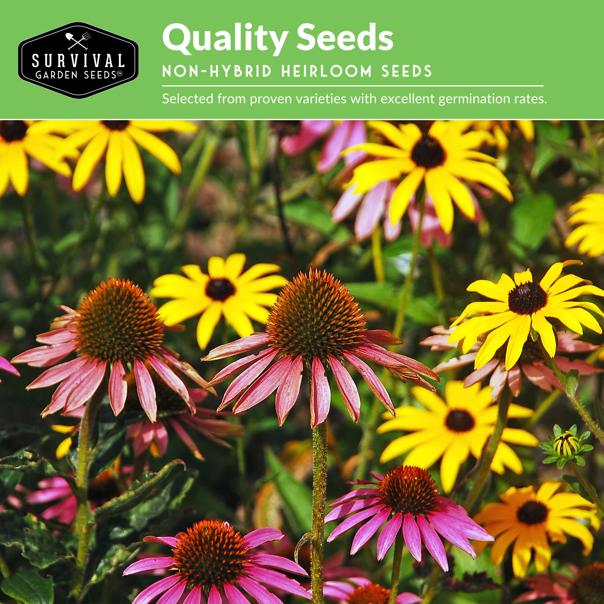 Functional Flower Seeds - 36 pack Heirloom Garden Flower Mix of Annuals & More