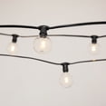 thumbnail image 1 of Commercial String Lights Commercial Globe String Lights 50ft E12 Black Wire G50 Bulbs Clear, 1 of 1