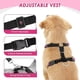 thumbnail image 4 of Dog Car Harness and Seatbelt Set, Adjustable Elastic Puppy Safety Seat belt & Breathable Padded Vest, 4 of 4