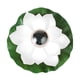 thumbnail image 1 of Lámpara de noche impermeable con forma de flor de loto, velas flotantes sin llama, luz de lirio, 1 of 5