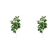 thumbnail image 1 of Advancent 10x Decoración De Plantas No Tóxicas - Para Oficinas Y Salas De Estar Jardín Arreglo Frescura Type5 NO5, 1 of 6
