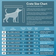 Vibrant Life Foldable 2-Door 48 Wire Crate for Dogs with Divider and Leak-Proof Tray