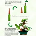 thumbnail image 3 of 4Pcs Cone Watering System Set Garden Watering Stakes Ceramic Clay Cones, 3 of 6