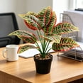 thumbnail image 6 of Gumesh Nearly Natural Artificial Dieffenbachia Plant Faux Greenery in Planter for Indoor Home Decor, 6 of 6
