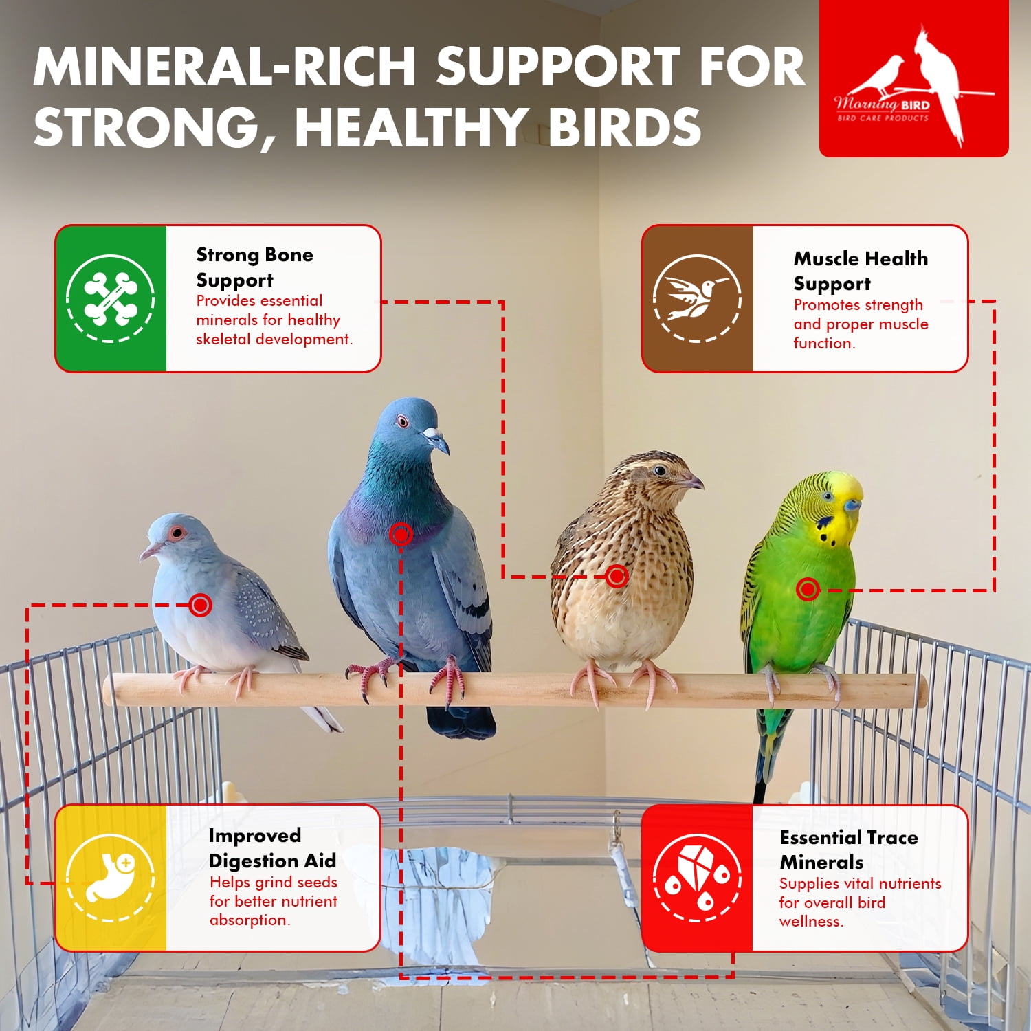 Morning Bird Pigeon Grit Bird Food with Minerals, 4.5 lbs (3-Pack, 1.5 lbs Each)