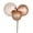 Café Latte, variant on Vickerman 18" Burnish Orange Ball Ornament Christmas Pick, Pack of 2