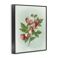 thumbnail image 2 of Stupell Industries Traditional Vintage Strawberry Bundle Black Framed Giclee Art, 11 x 14, by Diane Neukirch, 2 of 8