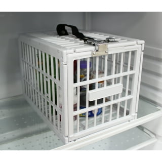 Lock Box For Safe Medication Storage, Large Refrigerator Storage Box For  Kitchen Food Safe 