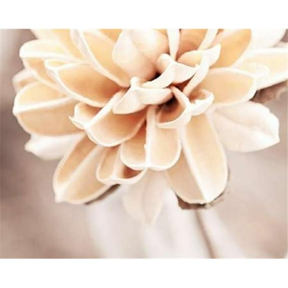 Image Conscious PDXC931DSMALL Touched by An Angel Poster Print by Carolyn Cochrane, 8 x 10 - Small