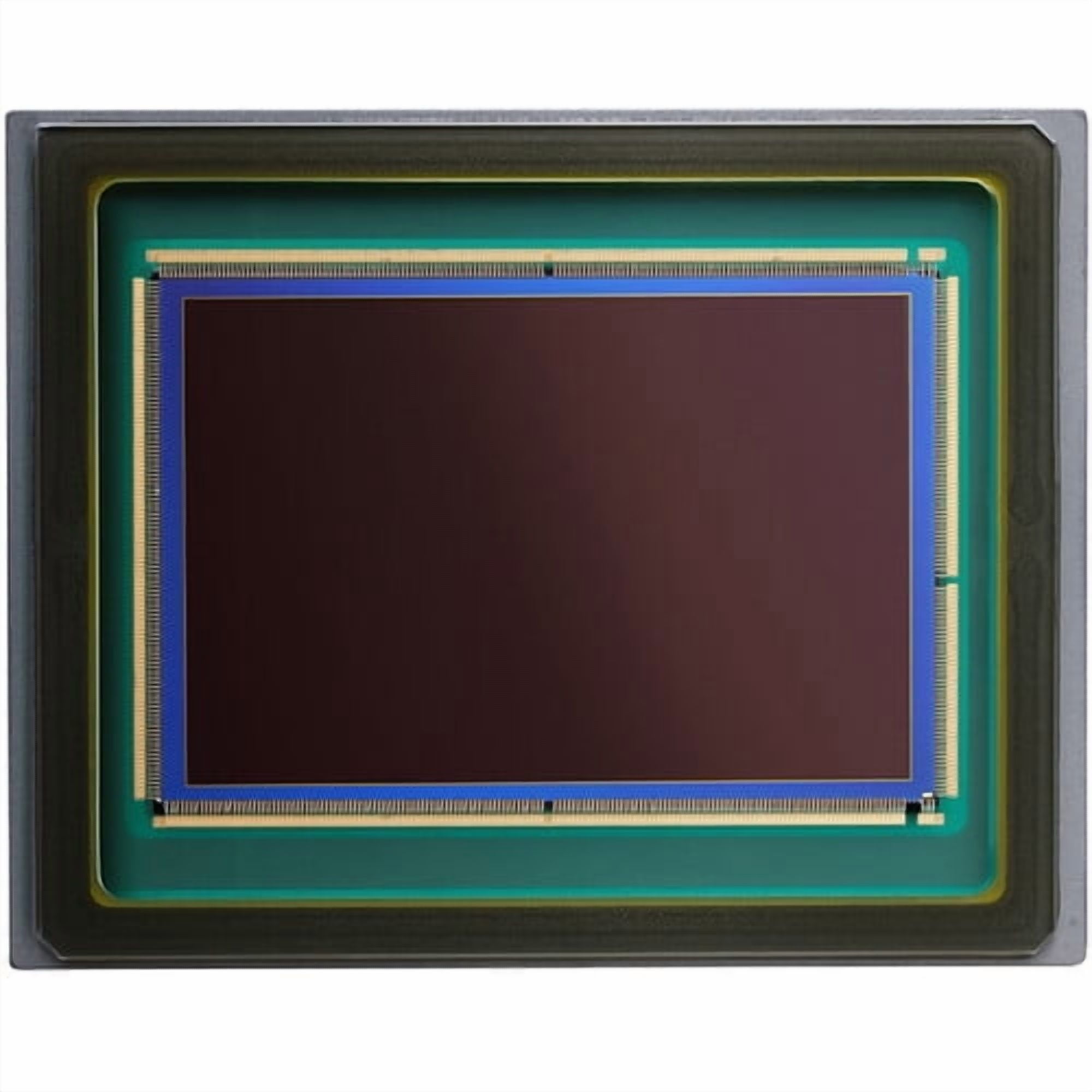 Canon EOS R3 Mirrorless Camera – 24MP Full-Frame Sensor, 6K RAW Video
