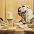 thumbnail image 6 of Mrs. Meyer's Clean Day Pet Multi-Surface Cleaner,  Orange Blossom Scent, 16oz, 6 of 6