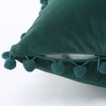 thumbnail image 2 of 2 Pcs Velvet Throw Pillow Case with Tassels, Boho Throw Pillow Cover Decor Cushion Covers, 2 of 8
