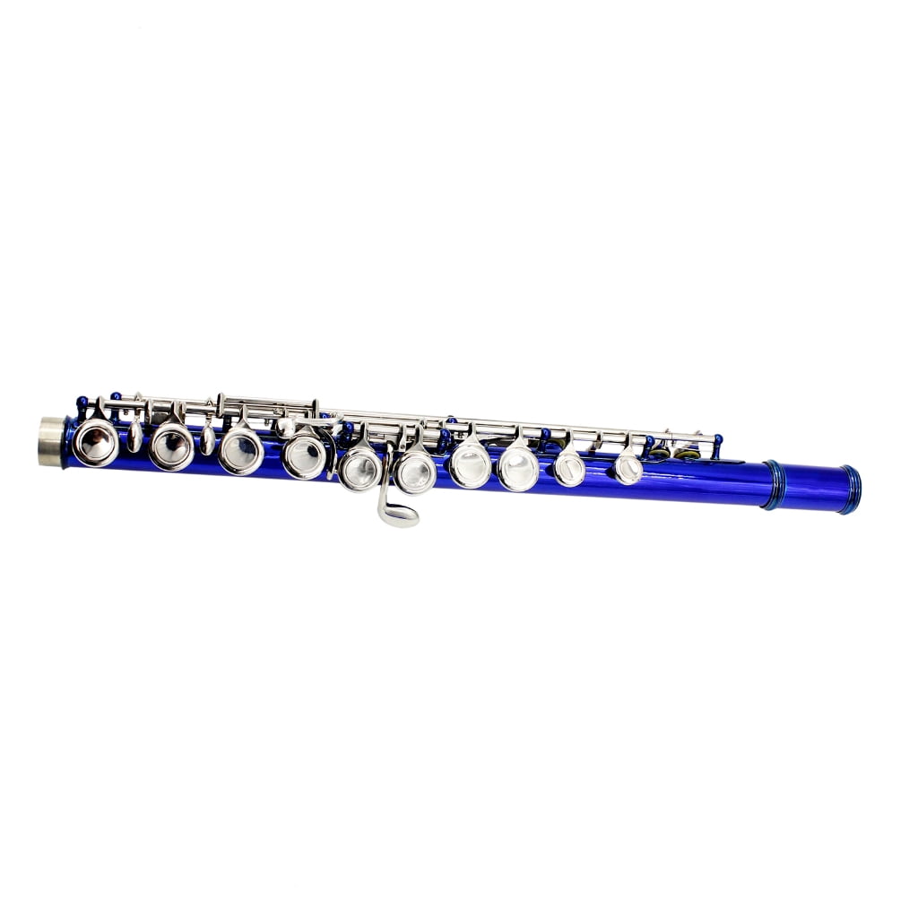 Professional 16 Hole Flute with E C Tone Closed Hole Flute With Bag Cloth Stick for Beginners