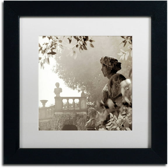 Trademark Fine Art "Tuscany VIII" Canvas Art by Alan Blaustein, White Matte, Black Frame