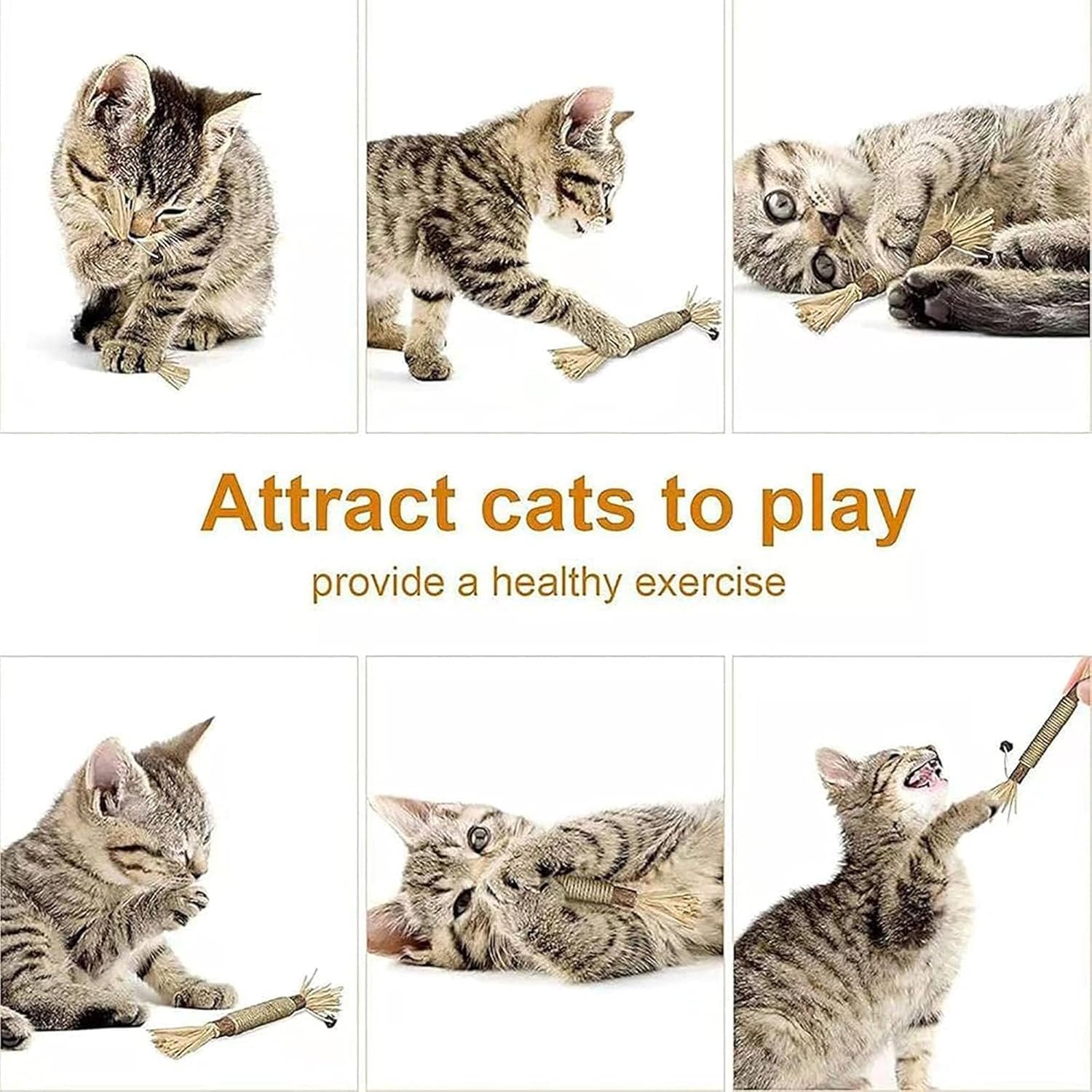 Purriq Natural Silvervine Dental Sticks, Puriq Comfora Pure Silvervine Dental Sticks for Cats, 5/10/15/20PCS Cat Chew Toy for Teeth Cleaning Interactive Chew Sticks for Indoor Cats& Kittens (20Pcs)