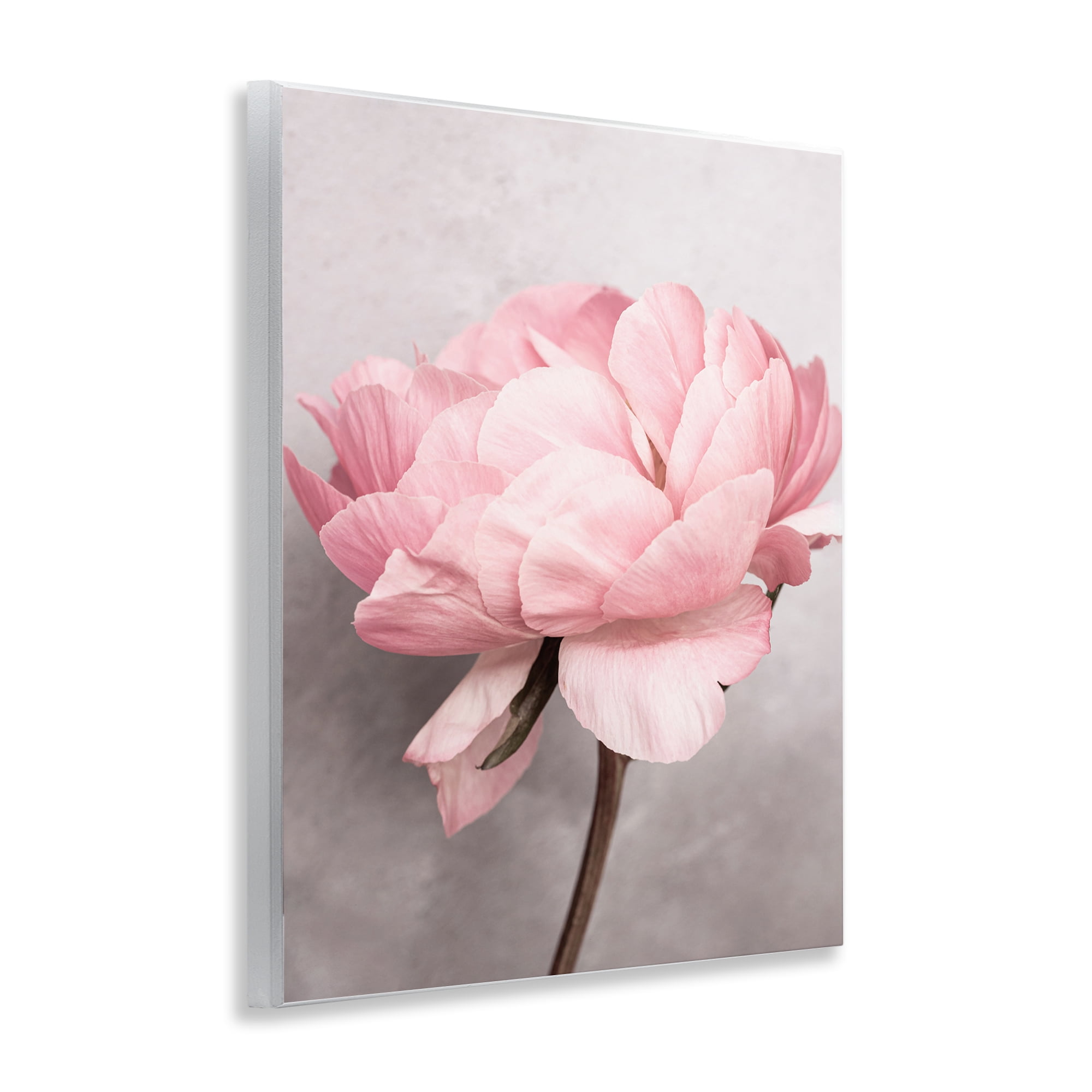 Stupell Industries Blooming Vintage Peony Plants & Flowers Painting Unframed Art Print Wall Art, 11 x 14