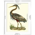 thumbnail image 5 of Art.com Purple Heron Art Print by John Selby, White Frame Wall Art, 23" x 29", 5 of 5