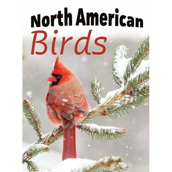 For Adults with Dementia and Other Life North American Birds, Book 1, (Hardcover)