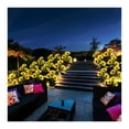 thumbnail image 4 of Paquete de 2 luces decorativas solares para jardín, patio y jardín trasero, 4 of 5