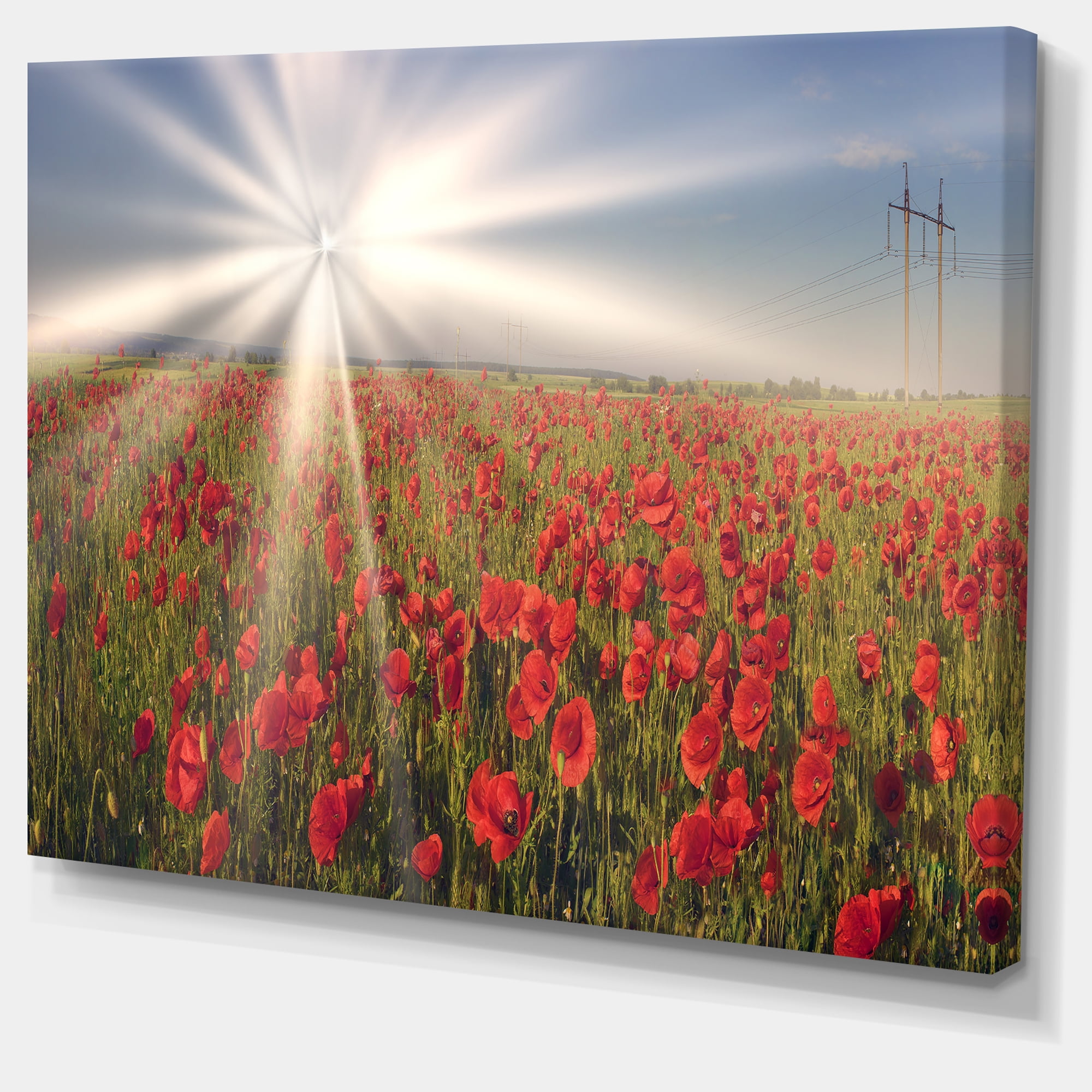 Tableau coquelicots et pâquerettes : toile nature déco champêtre