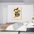 thumbnail image 2 of ARTCANVAS Summer Tanager - Summer Red Bird Canvas Art Print by John James Audubon - Size: 40" x 26" (0.75" Deep), 2 of 9