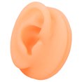 thumbnail image 3 of Silicone Ear Acupuncture Practice Model Reusable Simulation Ear Display Model False Ear Model  Practice Silicone Ear Model Model Human  Teaching Display Props, 3 of 8