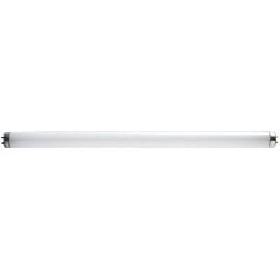

Globe Electric 70938 15W T8 Westpointe Cool White Miniature Fluorescent Tube
