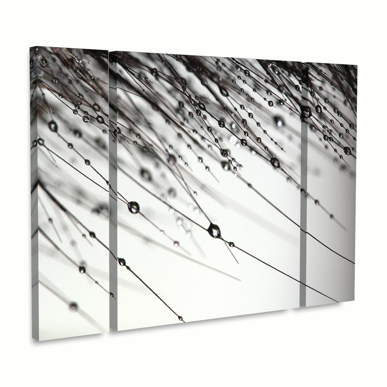 Trademark Fine Art 'Her Wishes' Canvas Art by Beata Czyzowska Young