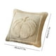 thumbnail image 2 of Sofás para la Sala de Estar Wansheng Calabaza de Peluche Funda de Almohada 18x18 Pulgadas Casa Sala de Estar Sofá Cojín Cubierta de Vacaciones Calabaza Doble Cara Terciopelo Funda de Almohada, 2 of 6