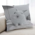thumbnail image 1 of Ahgly Company Animals Rabbit Indoor Throw Pillow, 18 inch by 18 inch, 1 of 6