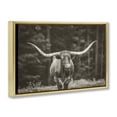 thumbnail image 4 of Stupell Industries Longhorn Among Flowers Animals Photography Gold Floater Framed Canvas Art Print Wall Art, 25 x 17, 4 of 10