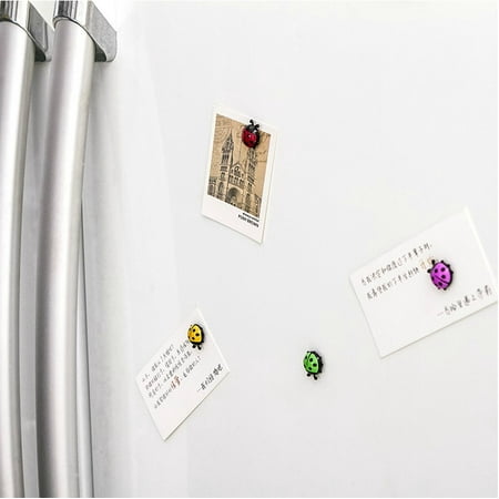 

JLSJ Ladybug Refrigerator Magnets Kitchen Magnets Office Magnets for Whiteboard Cute and Colorful Insect Design (12pcs per Set)