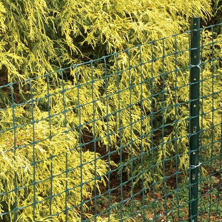 Garden Craft Green Plastic Fence, 25'L x 24"H