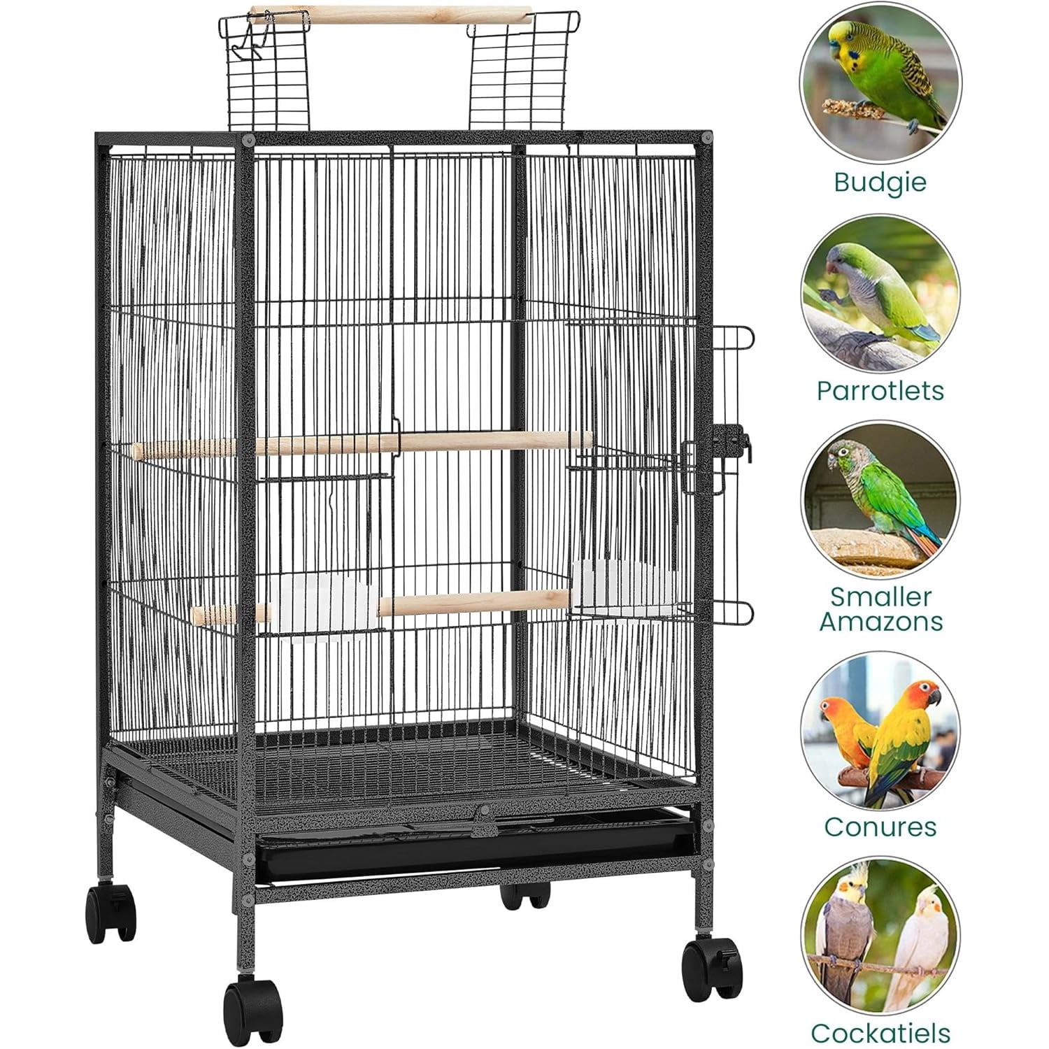 35 inch Wrought Iron Bird Cage w/Play Open Top and Rolling Stand for Small Birds Like Parrots Conure Lovebird Cockatiel Lovebirds Budgies