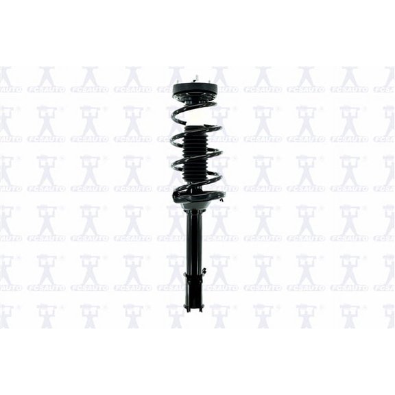 Suspension Strut and Coil Spring Assembly