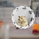 thumbnail image 5 of ColoMX Hamster Runew Rueda Hamster Toy Silent Hedgehog Wheel Rueda Chinchilla Rueda, 5 of 7