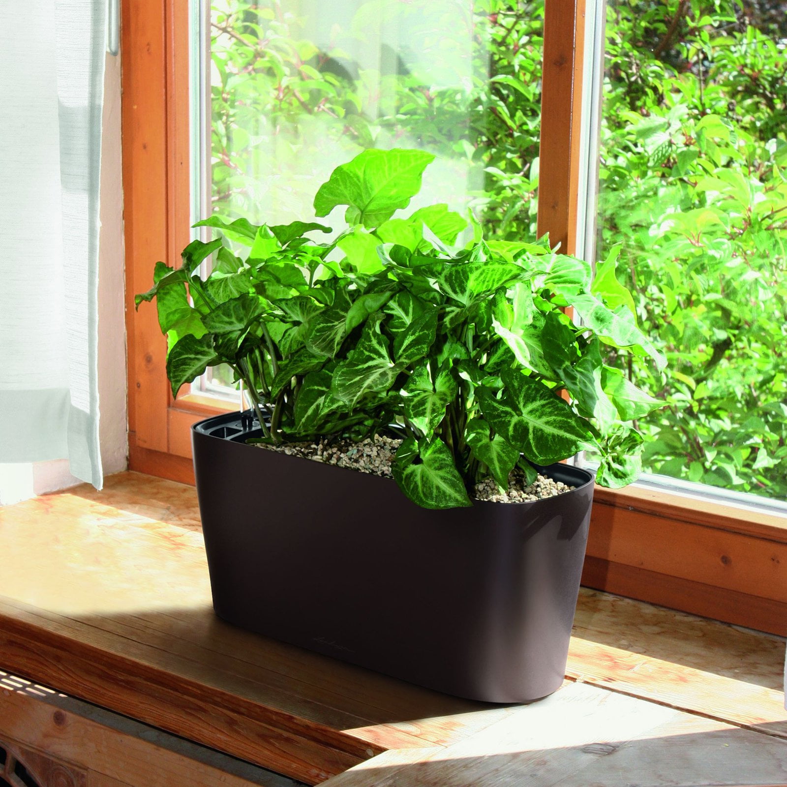 Lechuza Windowsill Self-Watering Indoor Planter - Walmart.com Lechuza Windowsill Self-Watering Indoor Planter - Walmart.com