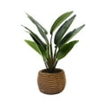 thumbnail image 5 of Nature's Mark 16.9”H Artificial Birds of Paradise Greenery Plant in Cement Woven Look Pot, 5 of 5