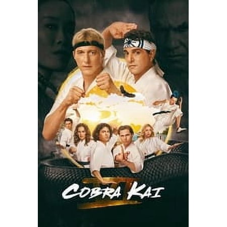 Cobra Kai (Season 6) [S06E05 Added] English Series DV D new