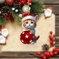 thumbnail image 5 of Seyotauo Cat Advent Calendars 2025, 24 Days Acrylic Cat Figurine Pendant Christmas Countdown Calendar, Kitten Christmas Tree Decoration Advent Calendars, Kitten Ornament Pendant Countdown Calendar, 5 of 9