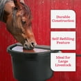 thumbnail image 3 of Little Giant 4 Gal. Float Controlled Waterer Livestock Water Trough (2 Pack), 3 of 10