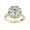 Yellow Gold, variant on Floral Halo Solitaire Engagement Wedding Rings for Women Center 9MM Cushion and Round Lab Created Moissanite Ring Jewelry Gift for Her In 10K Solid Rose Gold Size 10