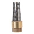 thumbnail image 1 of Válvula Campbell Brass Foot de 1 pulgada. D FNPT x FNPT 175 psi, 1 of 1