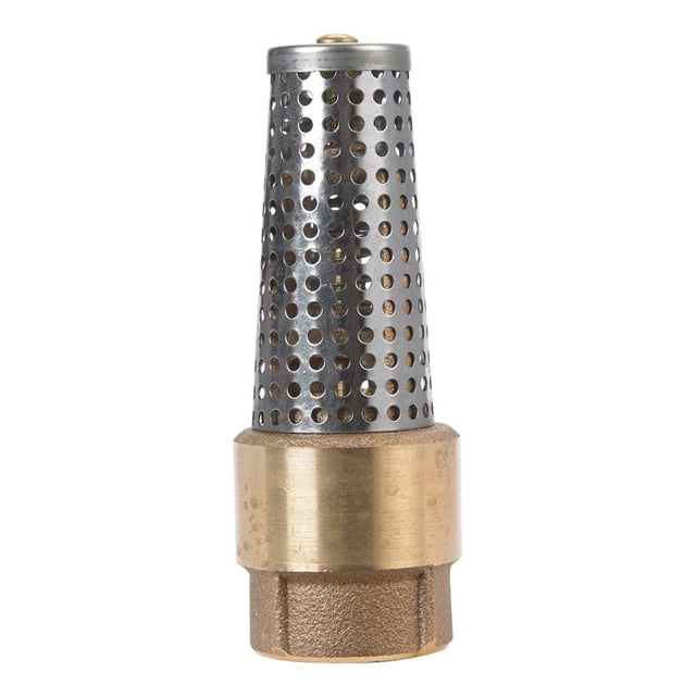 Válvula Campbell Brass Foot de 1 pulgada. D FNPT x FNPT 175 psi